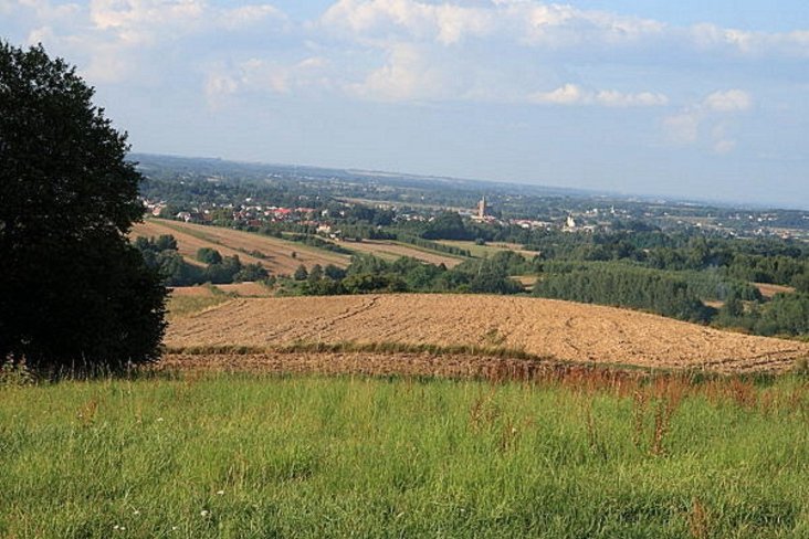 Pilzno - widok z os. Budyń, fot. Jaba