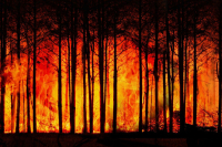 „Młodzież zapobiega pożarom” - eliminacje gminy Jodłowa