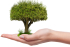 Małopolski Dzień dla Klimatu: Sadzenie drzew w Skrzyszowie